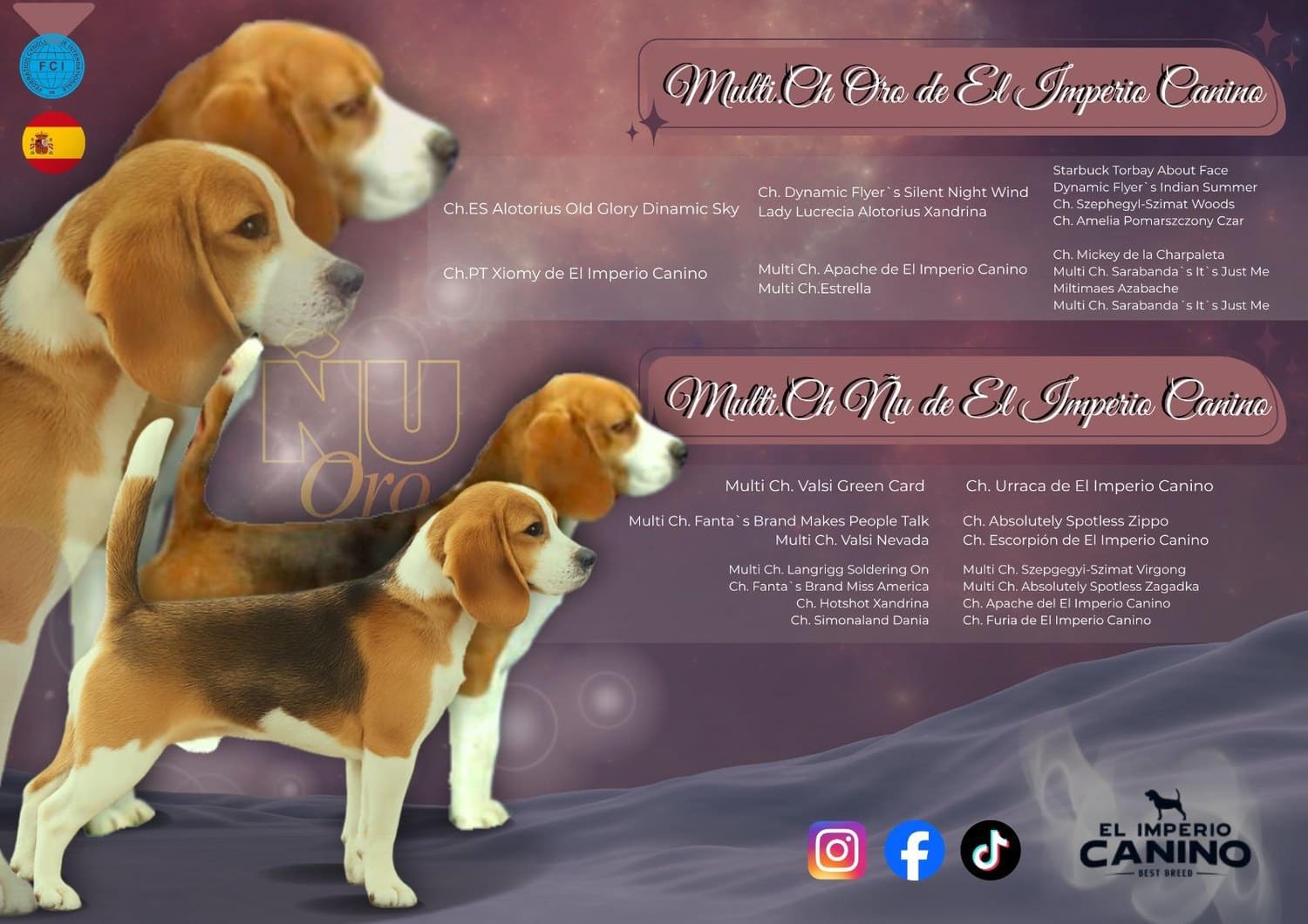Cartel de la camada Oro × Ñu de El Imperio Canino