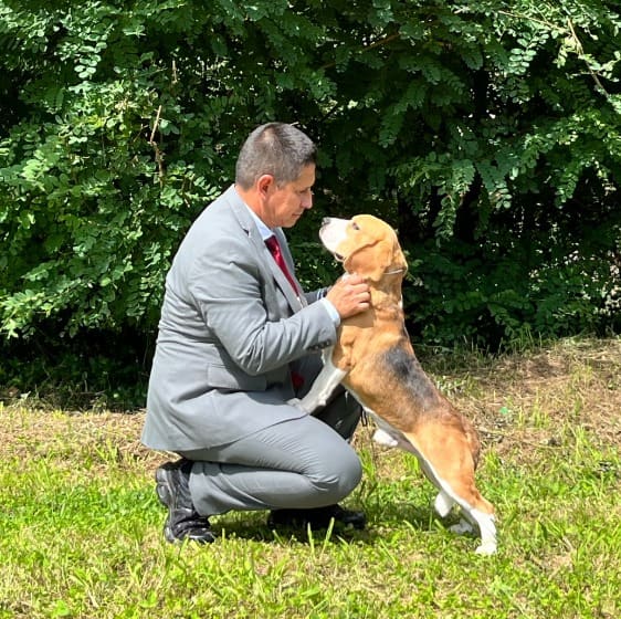 El criador Jairo Cuartas con un Beagle adulto en el exterior